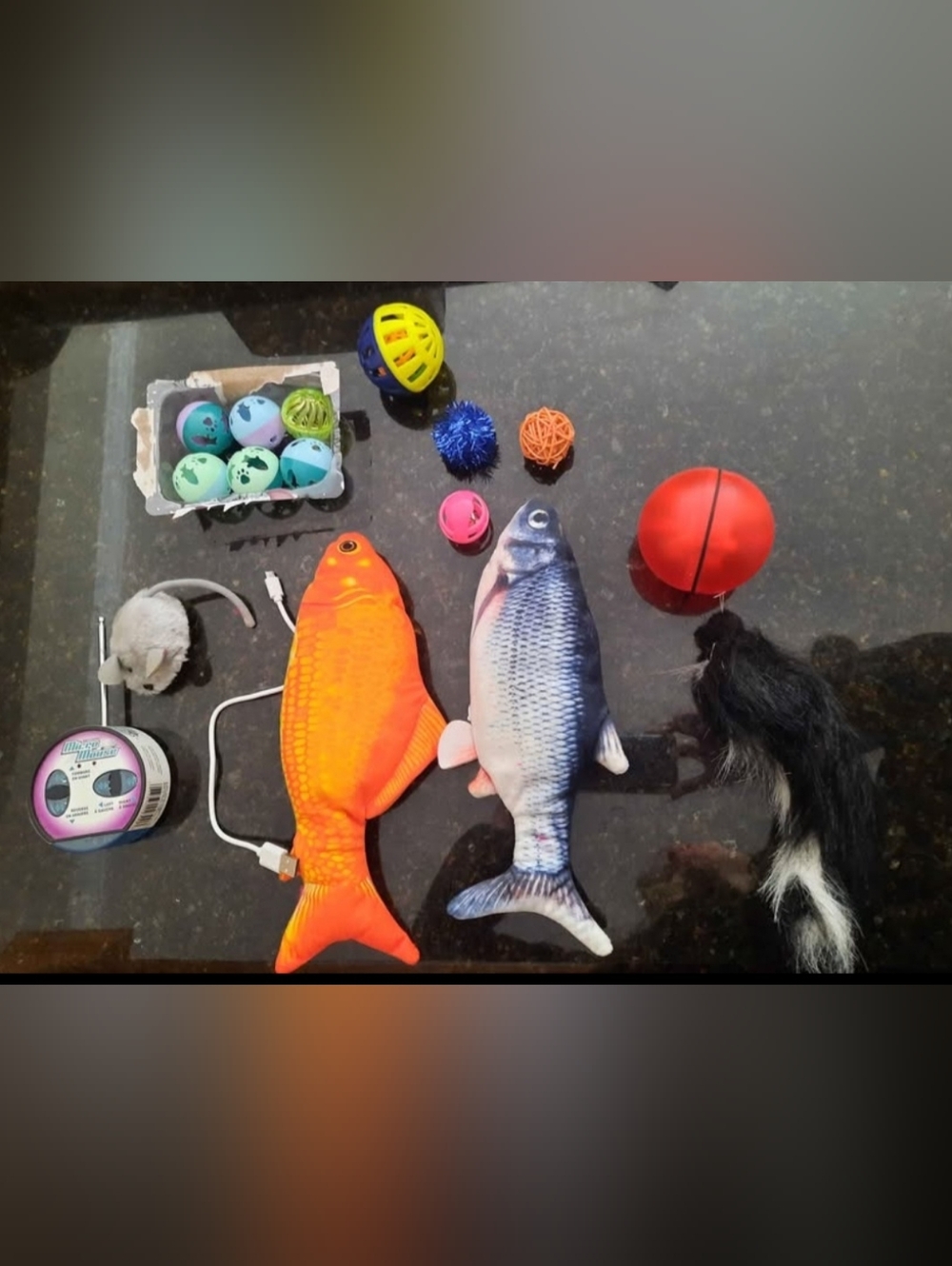 Cat Toys